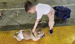 Read more about the article A Paws-itively Wonderful First Day of School