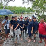 Mangrove-Planting